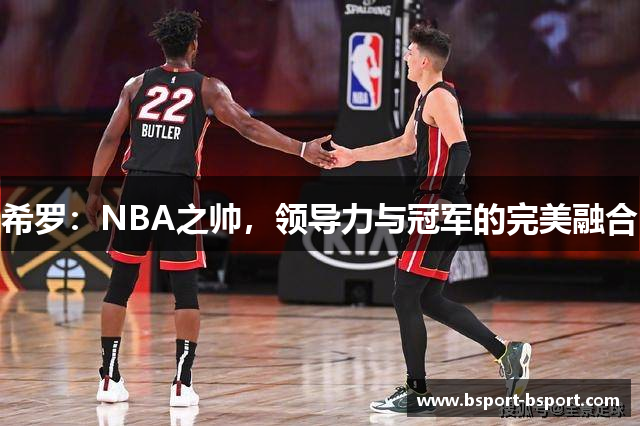 希罗：NBA之帅，领导力与冠军的完美融合