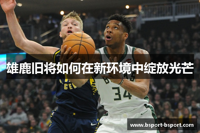 雄鹿旧将如何在新环境中绽放光芒