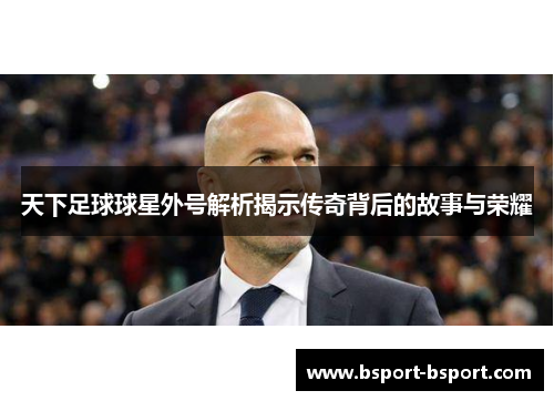 天下足球球星外号解析揭示传奇背后的故事与荣耀